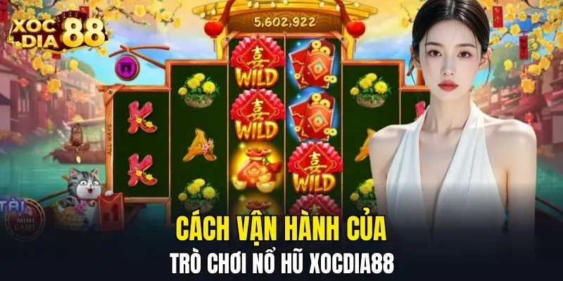 Cách vận hành của trò chơi nổ hũ XOCDIA88 Cách vận hành của trò chơi nổ hũ XOCDIA88