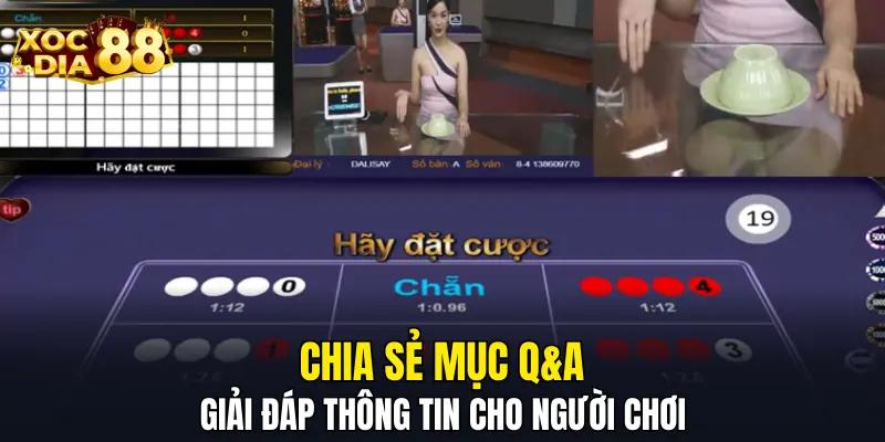 Chia sẻ mục Q&A giải đáp thông tin cho người chơi