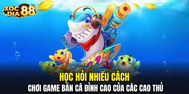 Học hỏi nhiều cách chơi game bắn cá đỉnh cao của các cao thủ Học hỏi nhiều cách chơi game bắn cá đỉnh cao của các cao thủ