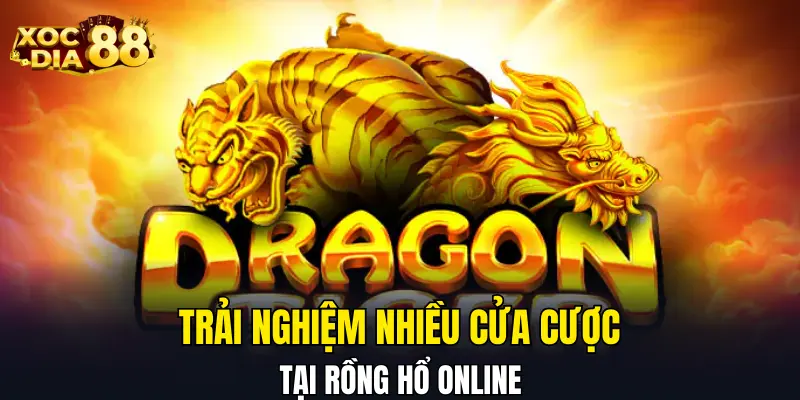 Trải nghiệm nhiều cửa cược tại Rồng Hổ online Trải nghiệm nhiều cửa cược tại Rồng Hổ online